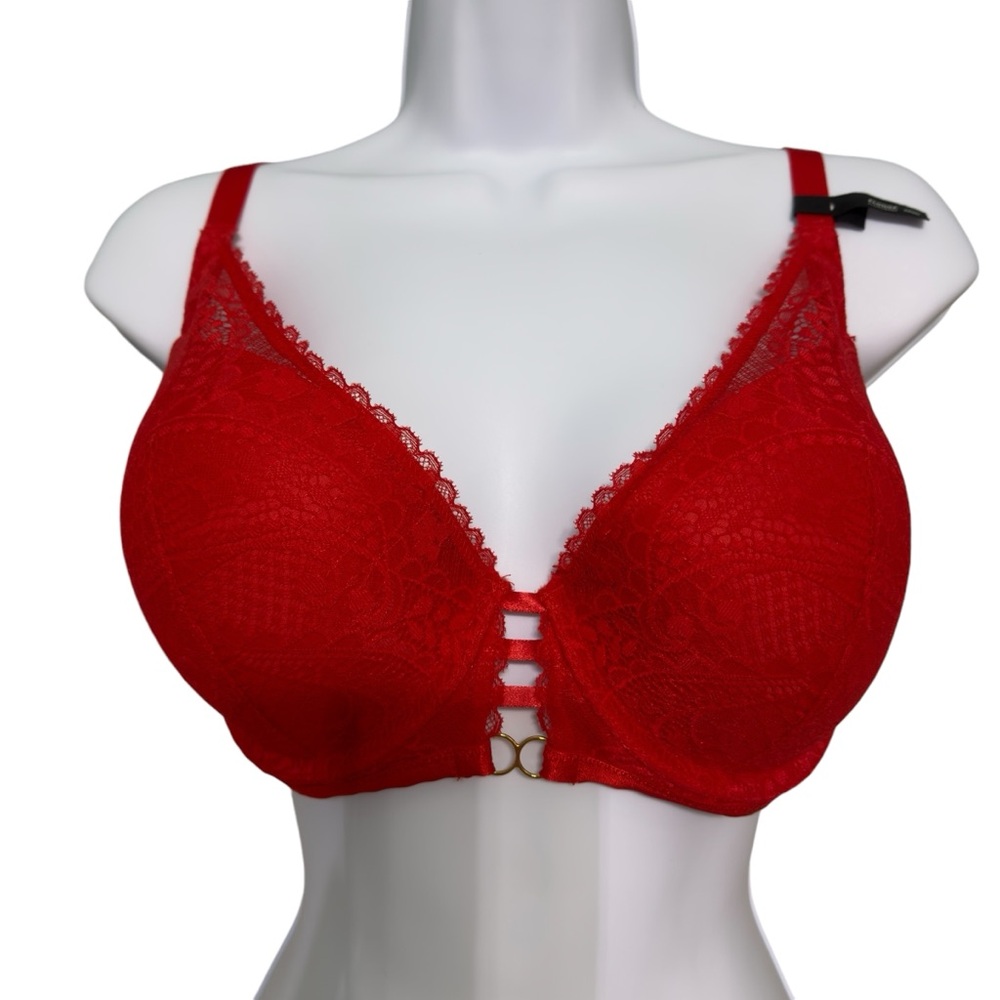 Aerie Real Power Plunge Push Up Paisley Lace Bra Size 34DD In Holiday Red